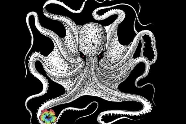 Kraken площадка