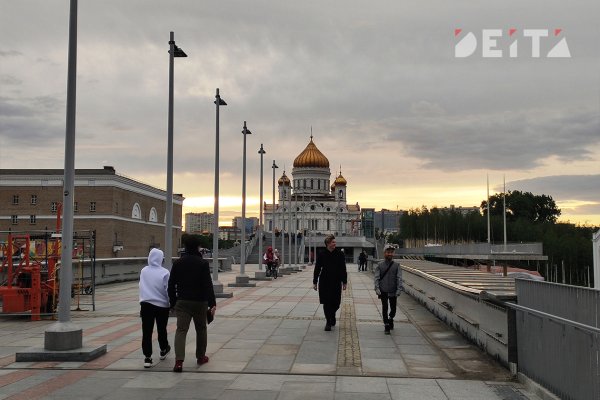 Рабочий кракен