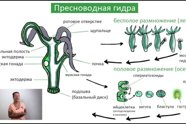 Кракен маркетплейс реклама текст