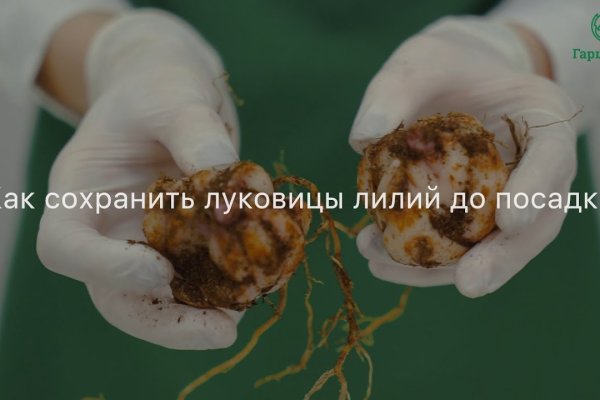 Kraken официальное зеркало kraken dark link