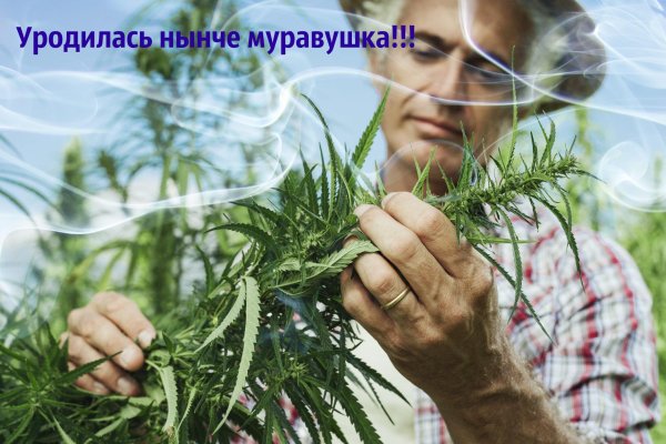 Ссылка в магазин на кракен
