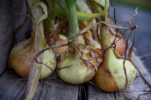 Сайты где купить наркотики