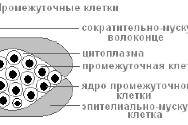 Активная ссылка на кракен
